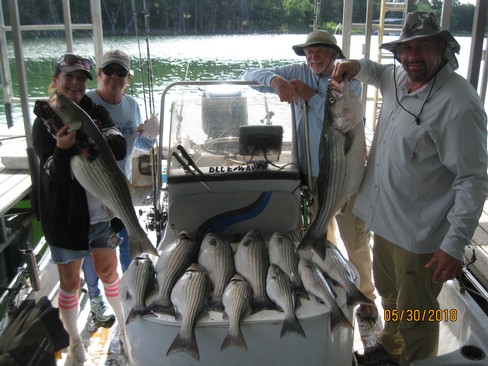 Nice Striped Bass